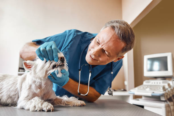 Best Emergency Treatment for Dental Infections or Abscesses in Aubrey, TX